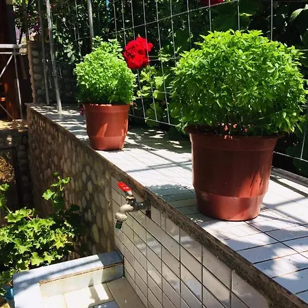 Relaxation Place Himarë