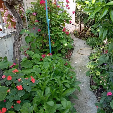 Πανσιόν Relaxation Place