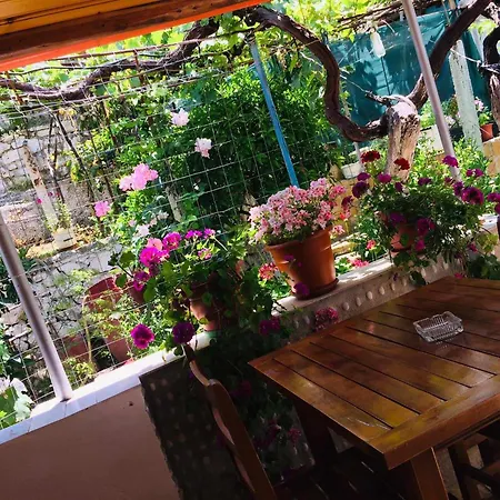Relaxation Place Guest house