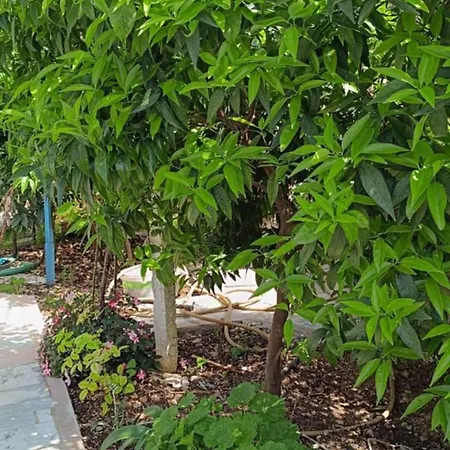 Relaxation Place 게스트하우스 3*