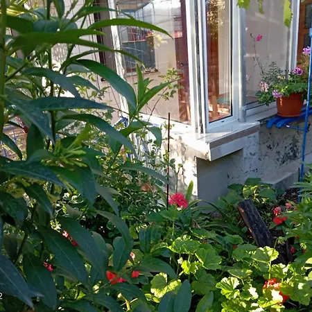 게스트하우스 Relaxation Place 3*